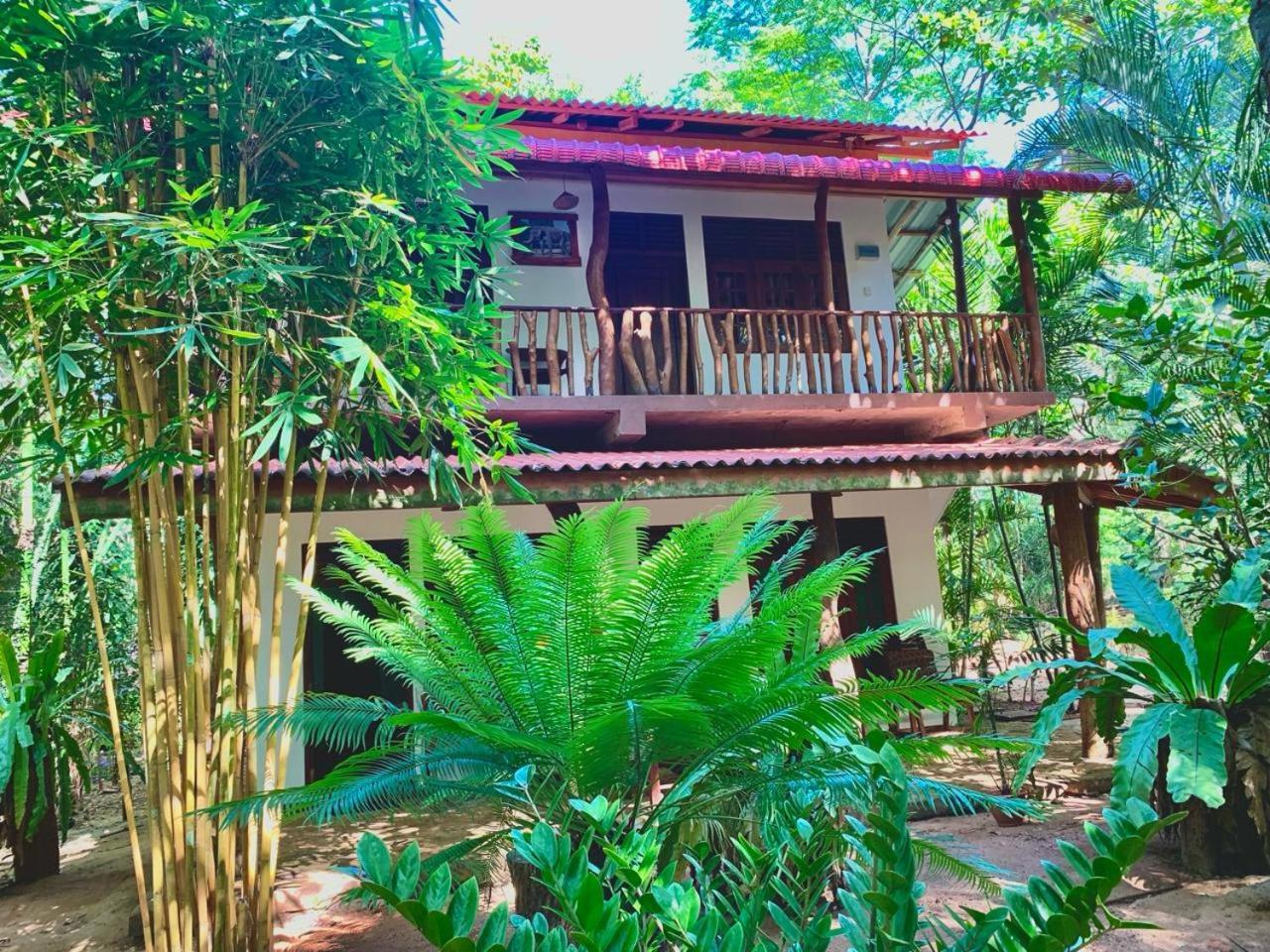 Walawa Blue Sapphire Hotel Udawalawe Bagian luar foto