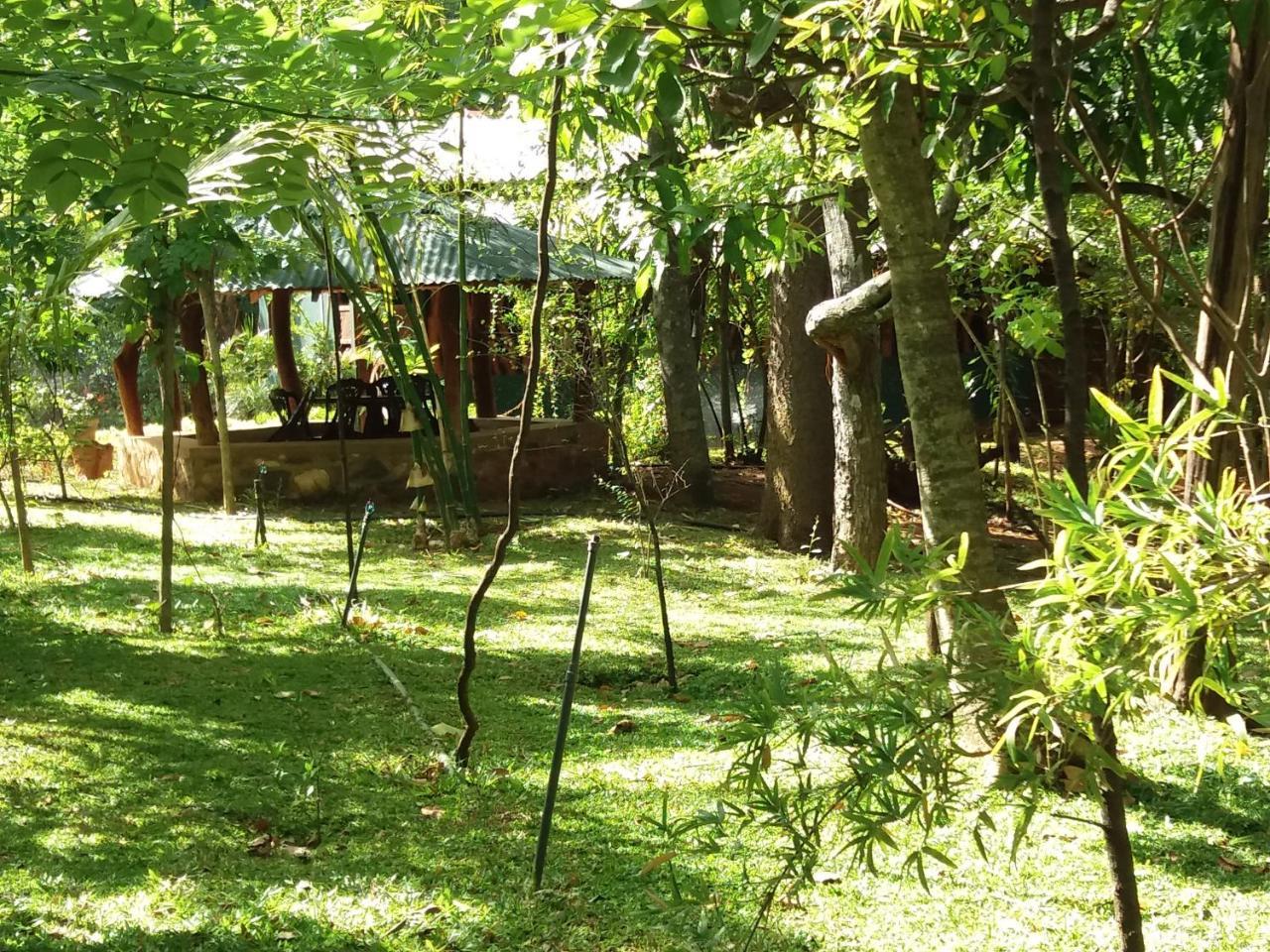 Walawa Blue Sapphire Hotel Udawalawe Bagian luar foto