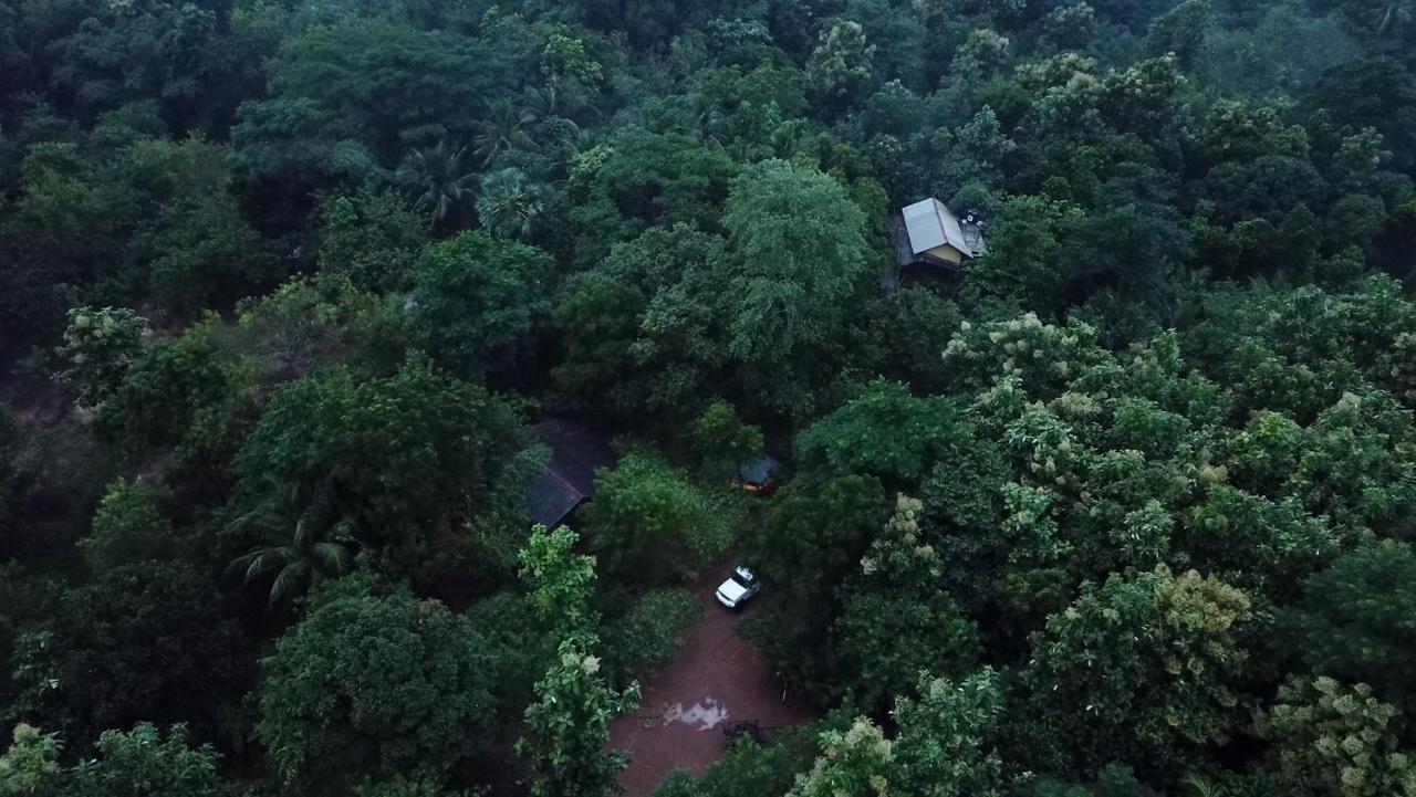Walawa Blue Sapphire Hotel Udawalawe Bagian luar foto